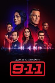 9 1 1 753 poster